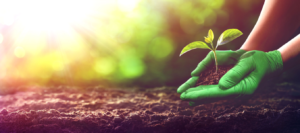 Choosing the Right Personal Protective Equipment Supplier