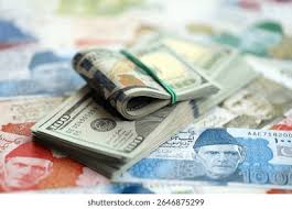 send money from pakistan to usa​