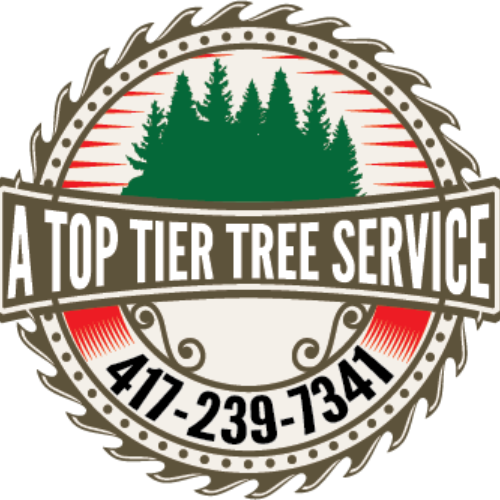 A Top Tier Tree Service