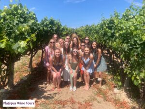 How Boutique Napa Valley Wineries Offer a Different Wine Experience